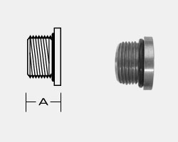 MALE BSPP HOLLOW HEX PLUG 5406-BSPP-HHP