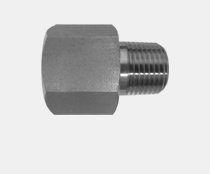 STAINLESS STEEL STRAIGHT CONNECTOR (6404) - FEMALE ORB x MALE NPT